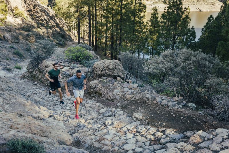 Trailrunning in België: hoe begin je en wat heb je nodig?