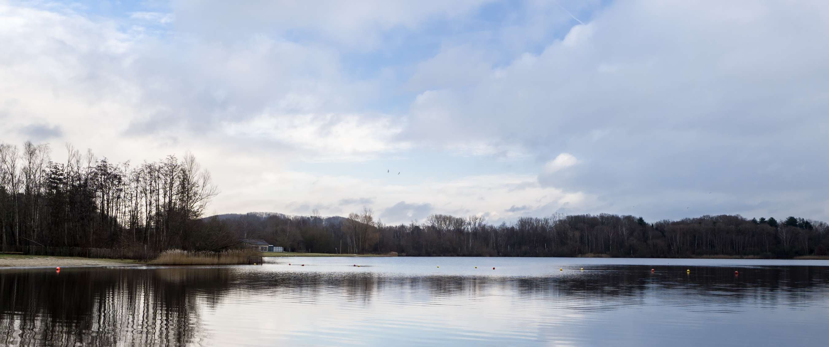 De Plas in Rotselaar