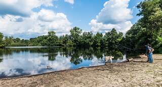 Bos Wortel-kolonie in Oudenaarde, voor een mooie boswandeling in België
