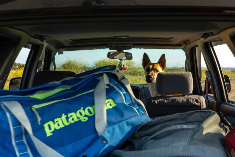 Patagonia’s Black Hole-reistassen: sterk, functioneel en duurzaam