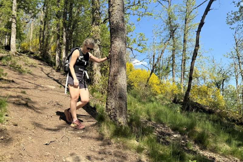 Getest: de HOKA Challenger 8, lichtgewicht trailrunschoen