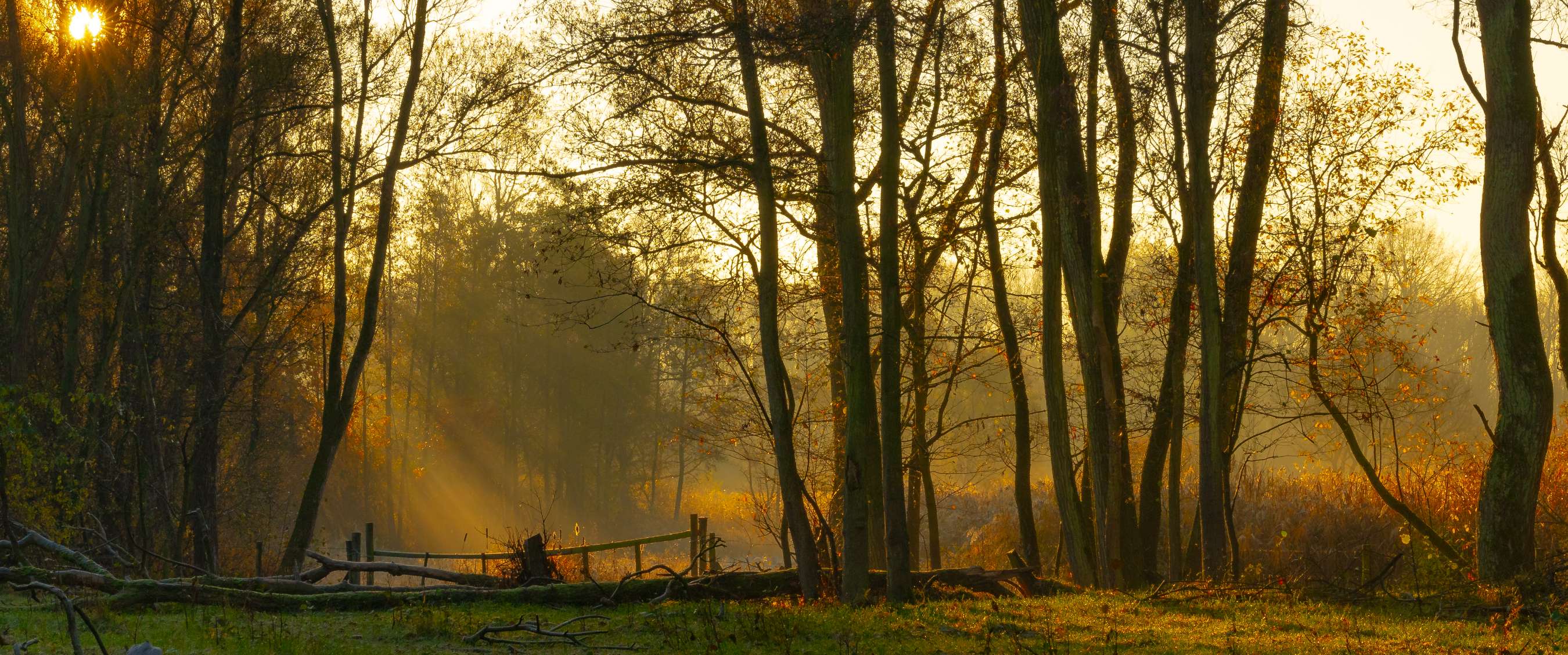 Wandelroute van A.S.Adventure en Natuurpunt in de Hobokense Polder