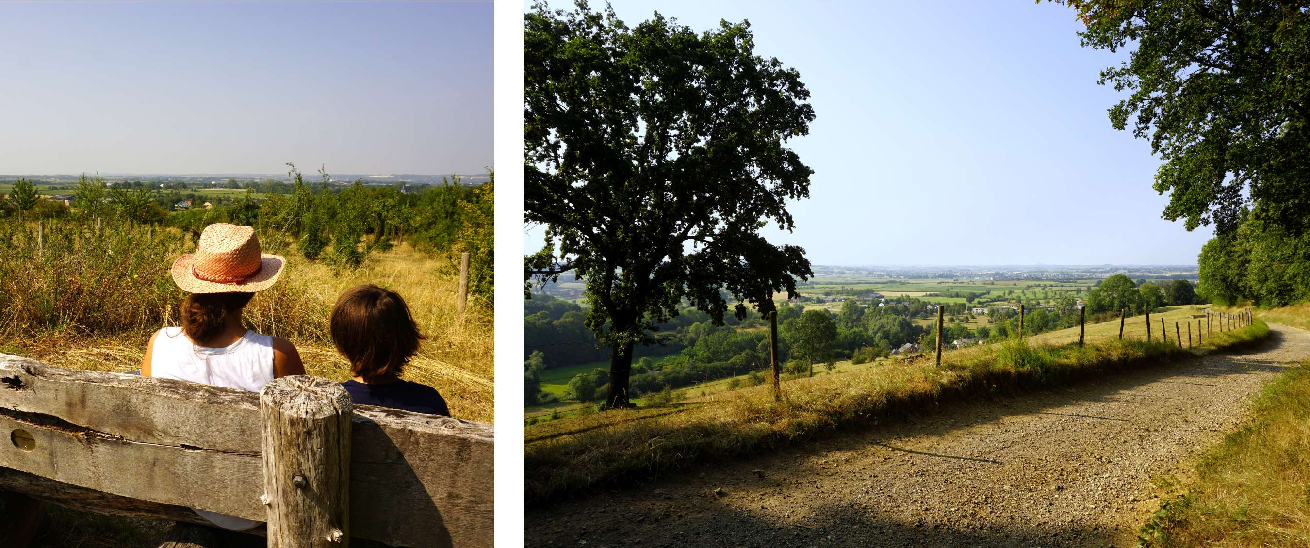 Wandelroute van A.S.Adventure en Natuurpunt in Altenbroek