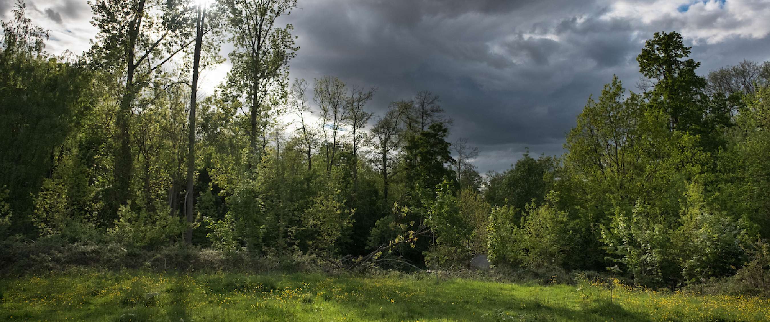 Wandelroute van A.S.Adventure en Natuurpunt in bos t’ Ename