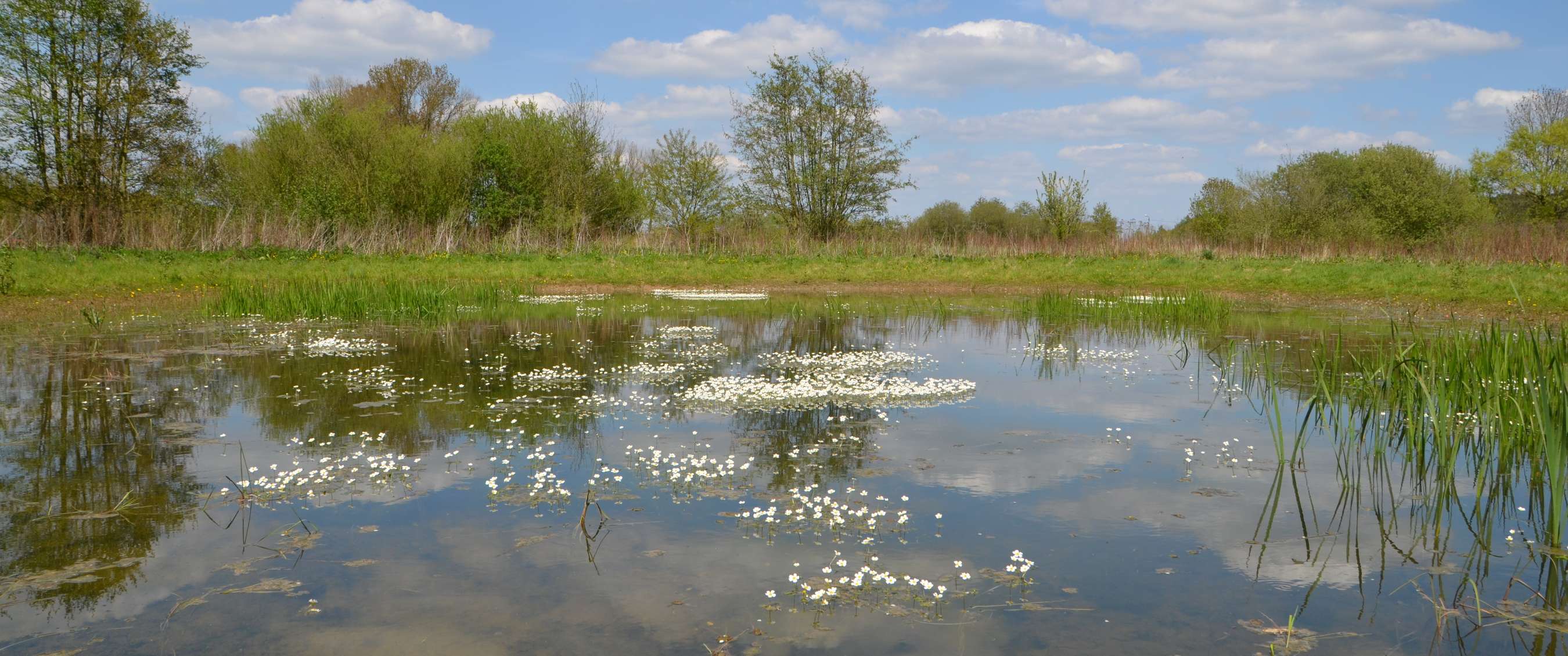 Wandelroute van A.S.Adventure en Natuurpunt de Antitankgracht