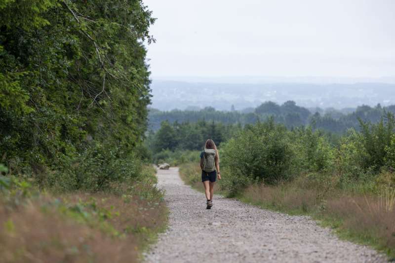 De Venntrilogie: wandelen door de Hoge Venen en de Oostkantons