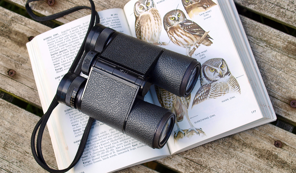 Hoe kies je de beste verrekijker?