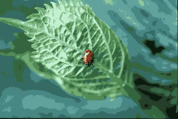 Alt text is added at Media asset 